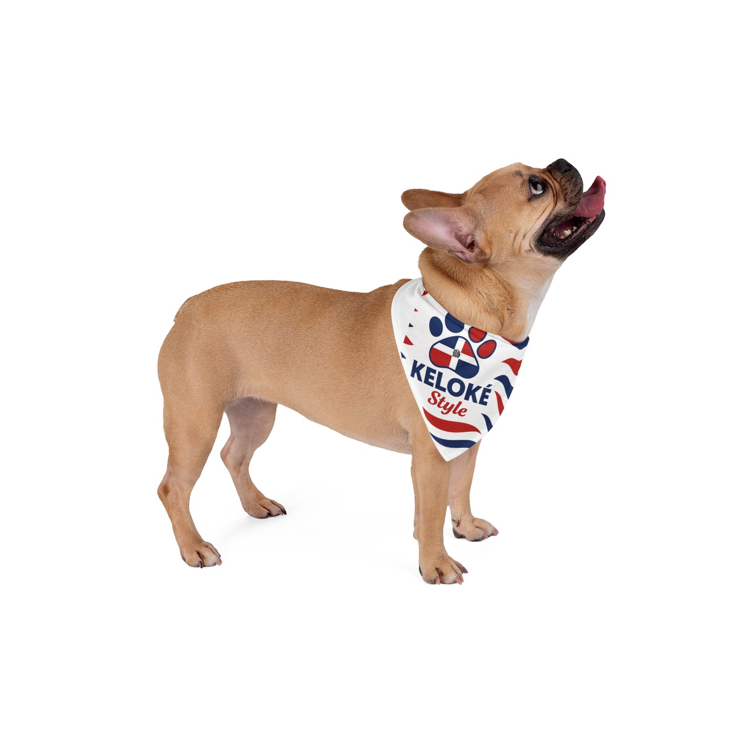 KELOKÉ Style Dominican Pride Dog Bandana