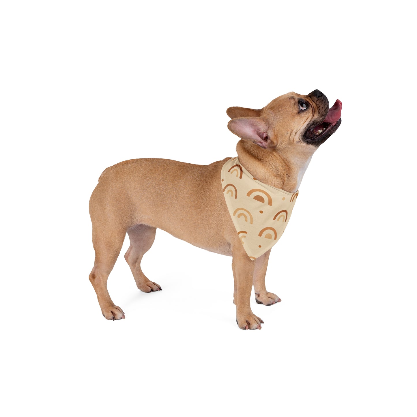 Boho Pup – Modern Aesthetic Dog Bandana