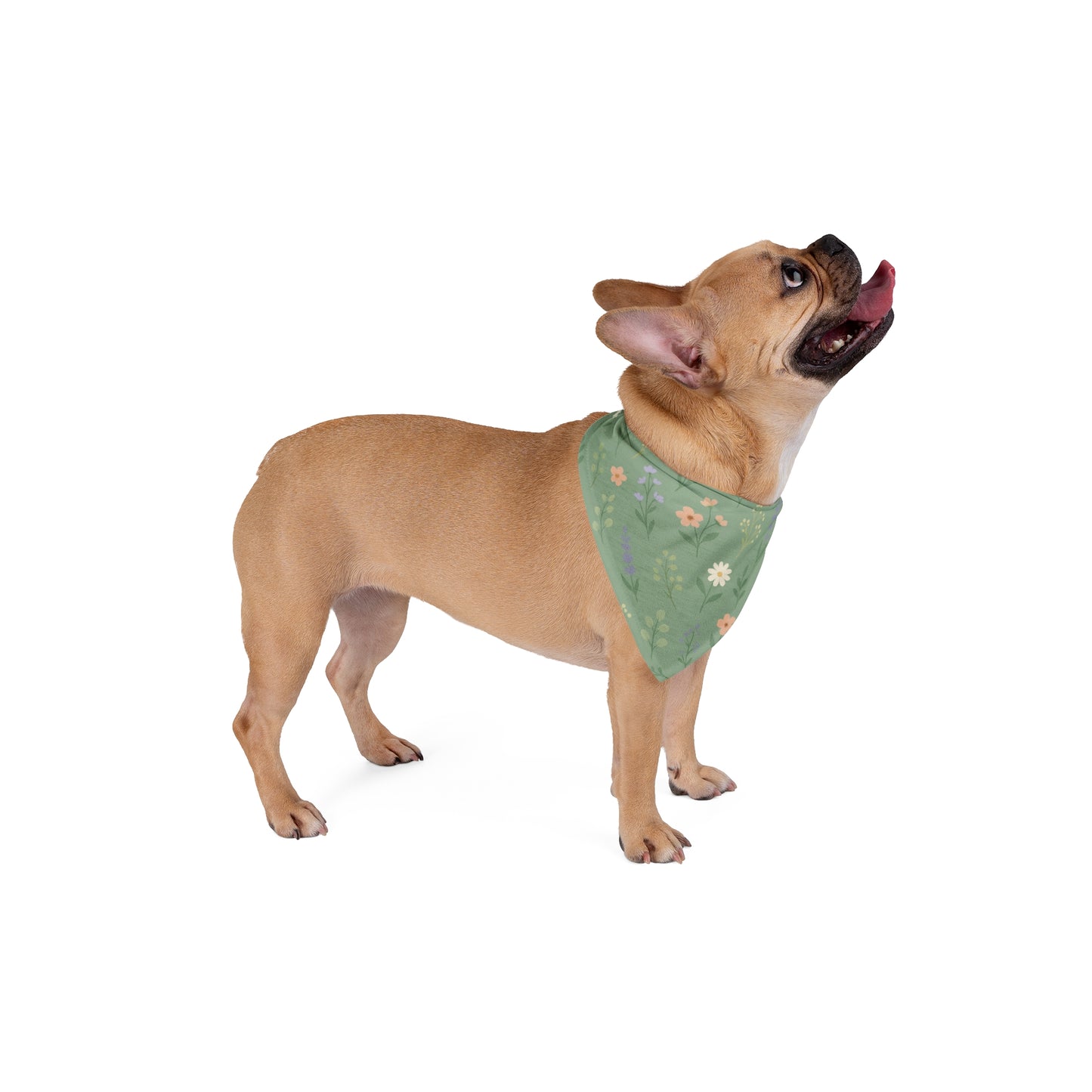 Wild Bloom – Floral Adventure Dog Bandana