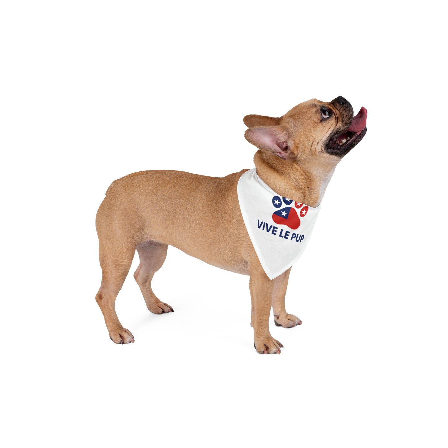 Paws for Freedom – Patriotic Dog Paw Design